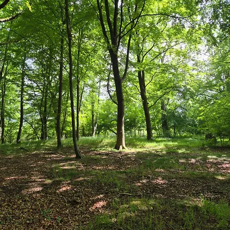 Gandelinka Park Bauernhof Kedrzyno